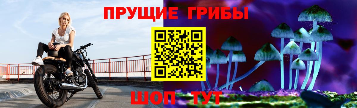 Отрадный  Псилоцибиновые грибы Magic Shrooms  Вход с VPN 