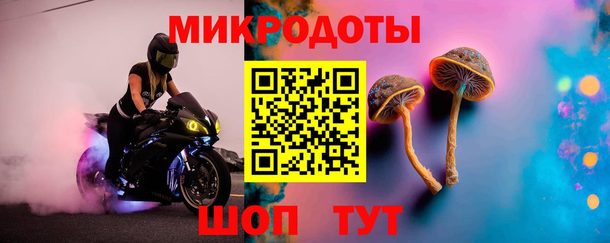 Псилоцибиновые грибы Psilocybine cubensis Отрадный